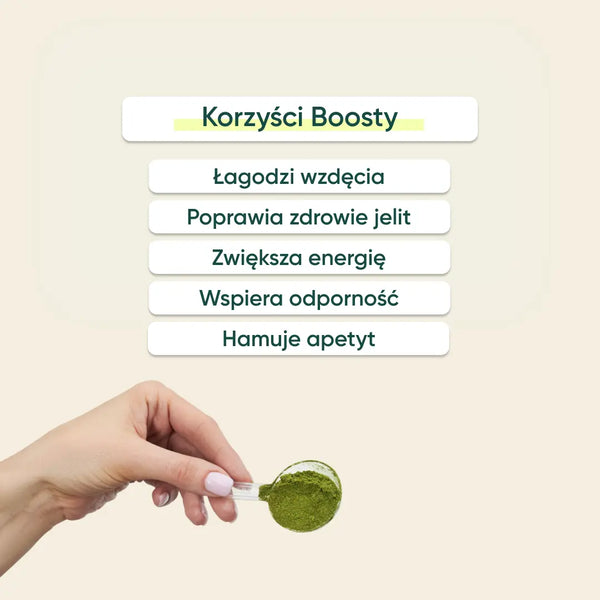 Boosty – Subskrypcja